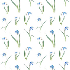 Fototapeta na wymiar Seamless pattern of the light blue first spring flowers. Watercolor botanical illustration of delicate lilac flowers. Three scillas hand drawn isolated on white background. little bouquet.