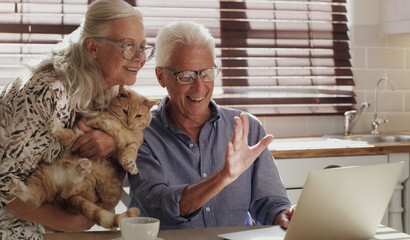 Senior couple, laptop and kitchen for video call with cat, wave and speaking to grandkids. Tech,...