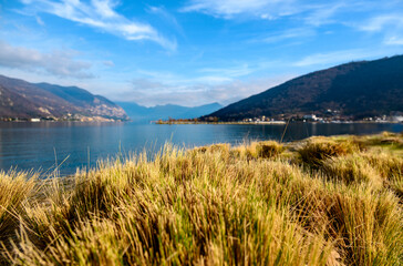 Trimmed dry grass on the shore of a lake with mountains in the background. Focus on grass near water