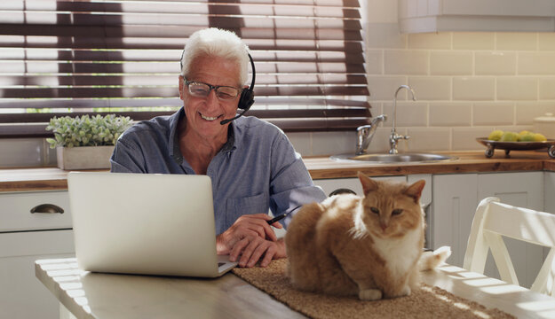 Laptop, Pet And Man With Headset In Home With Customer Service Consultation For Online Crm. Technology, Cat And Mature Male Technical Support Or Telemarketing Agent Working On Computer In Kitchen.