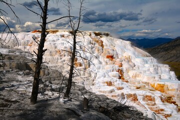 Mammoth Hot Springs - a large complex of hot springs on a hill of travertine in Yellowstone...