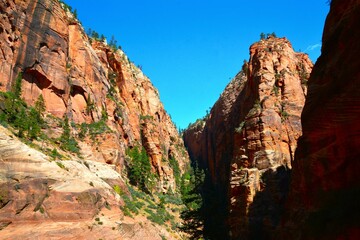 Beautiful landscape of Zion National Park - the canyon walls are reddish and tan-colored Navajo sandstone eroded by the North Fork of the Virgin River (near Springdale, southwestern Utah, USA)