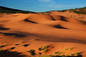 Coral Pink Sand Dunes State Park - it features uniquely pink-hued sand dunes located beside red...