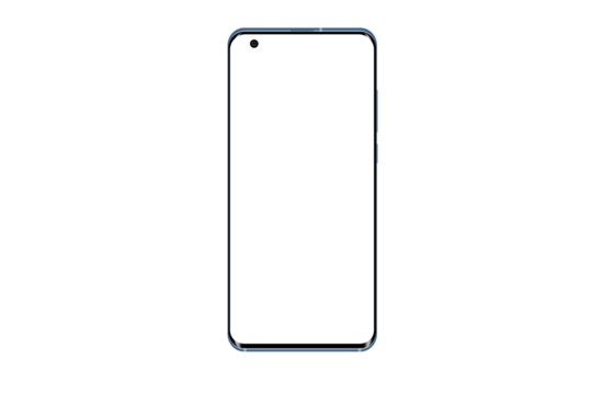 Mi 10 Pro Solstice Grey