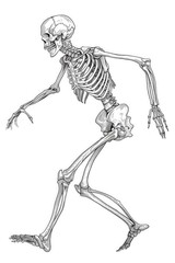 Skeleton chasing, dynamic pose, outlined for coloring, side view, spooky background, 