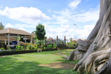 Area around the large Banyan ancient tree in Kayu Putih, Baru Village, Marga District, Tabanan...