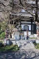 Buddhist Hase-kannon Hasedera temple complex Kyozo with buddha stone statue in front in Kamakura,...