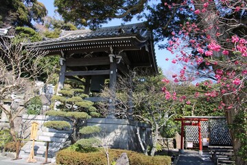  Buddhist Hase-kannon temple shoro belfry in Kamakura, Japan in March