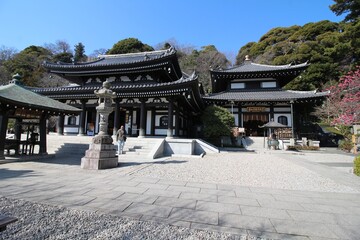  Buddhist Hase-kannon temple upper main square with main temple in Kamakura, Japan in March