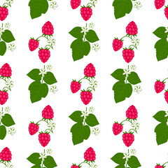 Raspberry. Berries, leaves and flowers isolated on a white background. Seamless pattern. Background for paper, cover, fabric, interior decor.