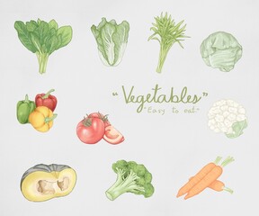 Hand-painted watercolor style paintings on bond paper about various vegetables that are easily available to eat, bright colors to communicate health, weight loss, and care for the digestive system.