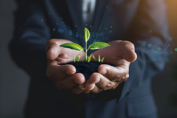 Young sprout in hands of man in business suit. Symbol of development, business growth, prosperity, economy. Green seedling sprout over the soil. Earth day. Investment, new business idea concept banner