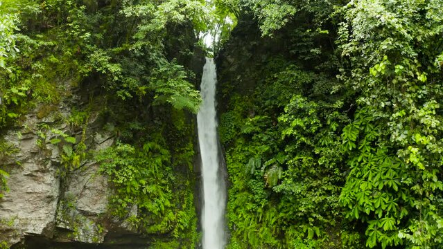 Waterfall in green rainforest. Tropical Tuasan Falls in mountain jungle. waterfall in the tropical forest. Camiguin, Philippines, Mindanao
