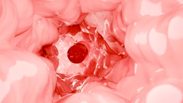 Probiotics in intestinal tract. endoscopy through intestines. Microbiota, Pill Capsule with vitamins for digestive system, stomach pain treatment, colonoscopy, Red microvilli, Colon, 3d render