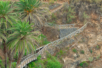 path to the beach, with palms, in Las Ramblas de Castro, Los Realejos, Tenerife, Canary islands, Spain