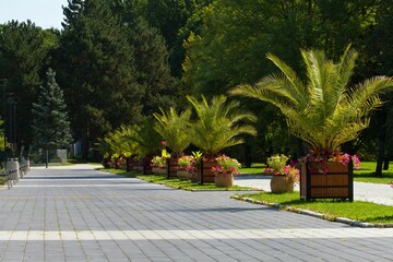 
promenade in
of the spa complex Trebon-Aurora Czech Republic