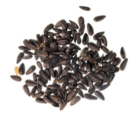 Looking straight down on a pile of black oil sunflower seeds that can be used as wild bird feed. On a clean background.
 - obrazy, fototapety, plakaty