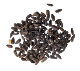 Looking straight down on a pile of black oil sunflower seeds that can be used as wild bird feed. On a clean background.
