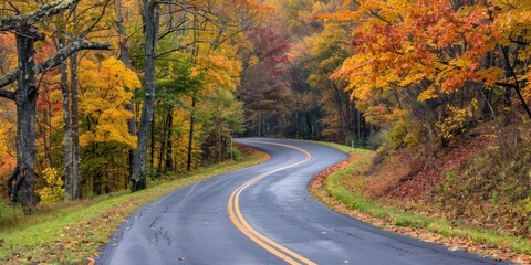 Fototapeta premium A scenic drive through winding roads with colorful autumn foliage, showcasing the beauty of the season. 