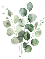 Obraz premium Ai Generated Art Watercolor Abstract Leaves and Branches against White Background in Pastel Sage Green Colors