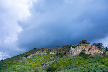 Cloudy day at Santa Monica beach looking towards the bluffs.