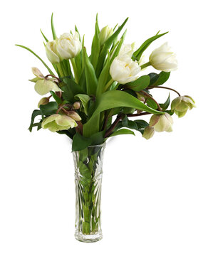 Bouquet of tulips and hellebore flowers in a glass vase isolated on white or transparent background