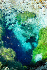 Fototapeta na wymiar Turquoise and green water in the spring water of the blue eye lake in Albania.