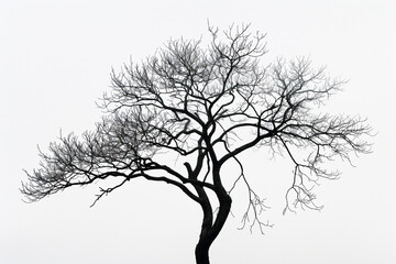 A minimalist tree silhouette with intricate branches.