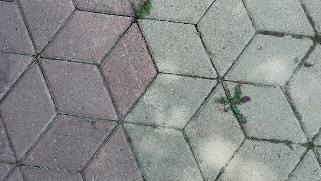Sidewalk paving stones on the background of the sidewalk.