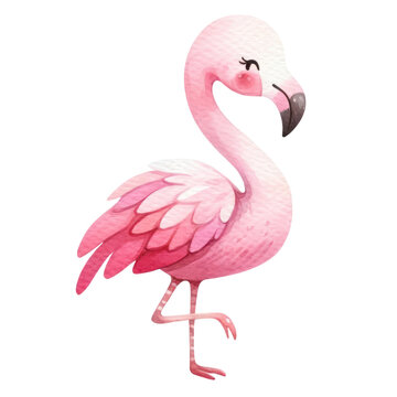 A cute watercolor illustration of a pink flamingo.