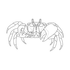 Crab. Vector black and white image.