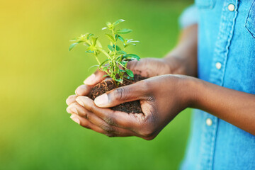 Hand, plant and soil for sustainability innovation, environmental awareness and clean energy for eco friendly. Person, leaf and grow for unity support and ecology for hope, growth and help nature