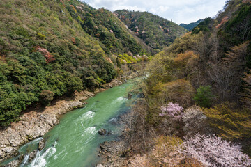 Cherry blossoms in Kyoto, Japan. Hozugawa River, Hozu Gorge.