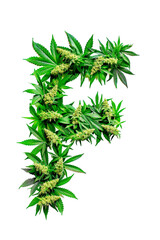 The letter F is creatively crafted using marijuana leaves against a white background. Alphabet. Isolated.