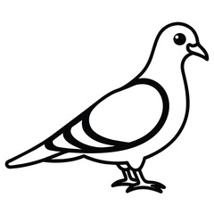  world peace day dove illustration style