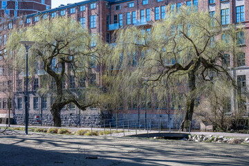 Waterfront park Strömparken during early spring in Norrköping. Norrköping is a historic industrial town in Sweden - 788490478