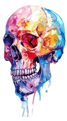 Cercles muraux Crâne aquarelle a modern skull design in vivid watercolor