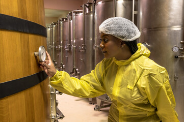 Expertise black winery inspector woman checking wine quality from oak wood wine barrel in winery...