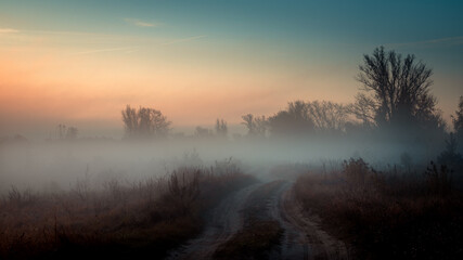 Rural landscape. Road to a field on a sunny foggy morning