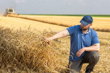 Young farmer standing on wheat field during harvest - 788496434