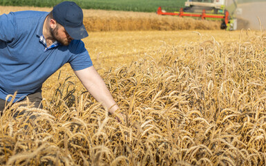 Young farmer standing on wheat field during harvest - 788496831