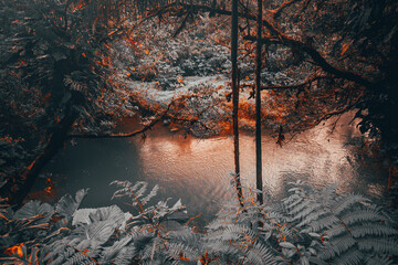 River flowing through the jungle, abstract gray fiery colors, landscape, nature background