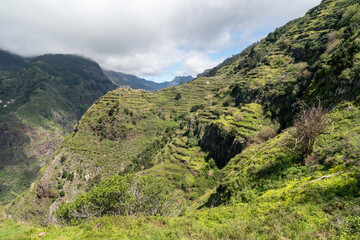 An der Levada do Norte, Madeira