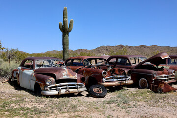 old classic cars in the desert