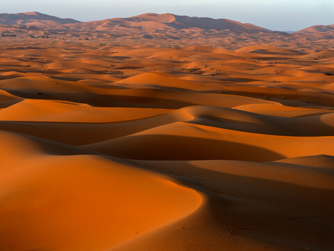 Sand dunes with shadows in evening. Erg Chebbi, Sahara Desert, Morocco. 2019.  