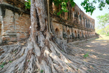 buddha statue in buddhist temple,thailand,thai,thai temple,thai buddha,
Ayutthaya,Phra Nakhon Si Ayutthaya,Temple in Ayutthaya,Wat Khudeedao