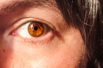 Honey-colored eye of long-haired man 
