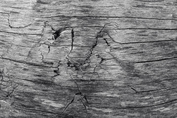 The image is a close-up of a piece of wood with cracks and scratches in black and white color