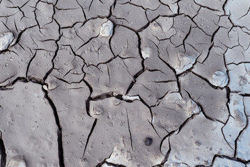 A close-up of cracked, dried mud. The ground is covered in numerous cracks, some running...