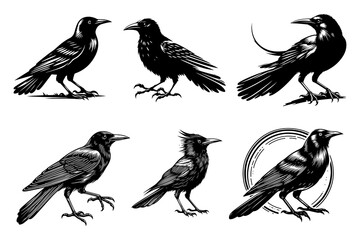 grackle bird line art silhouette vector illustration isolated on transparent background - Generative AI